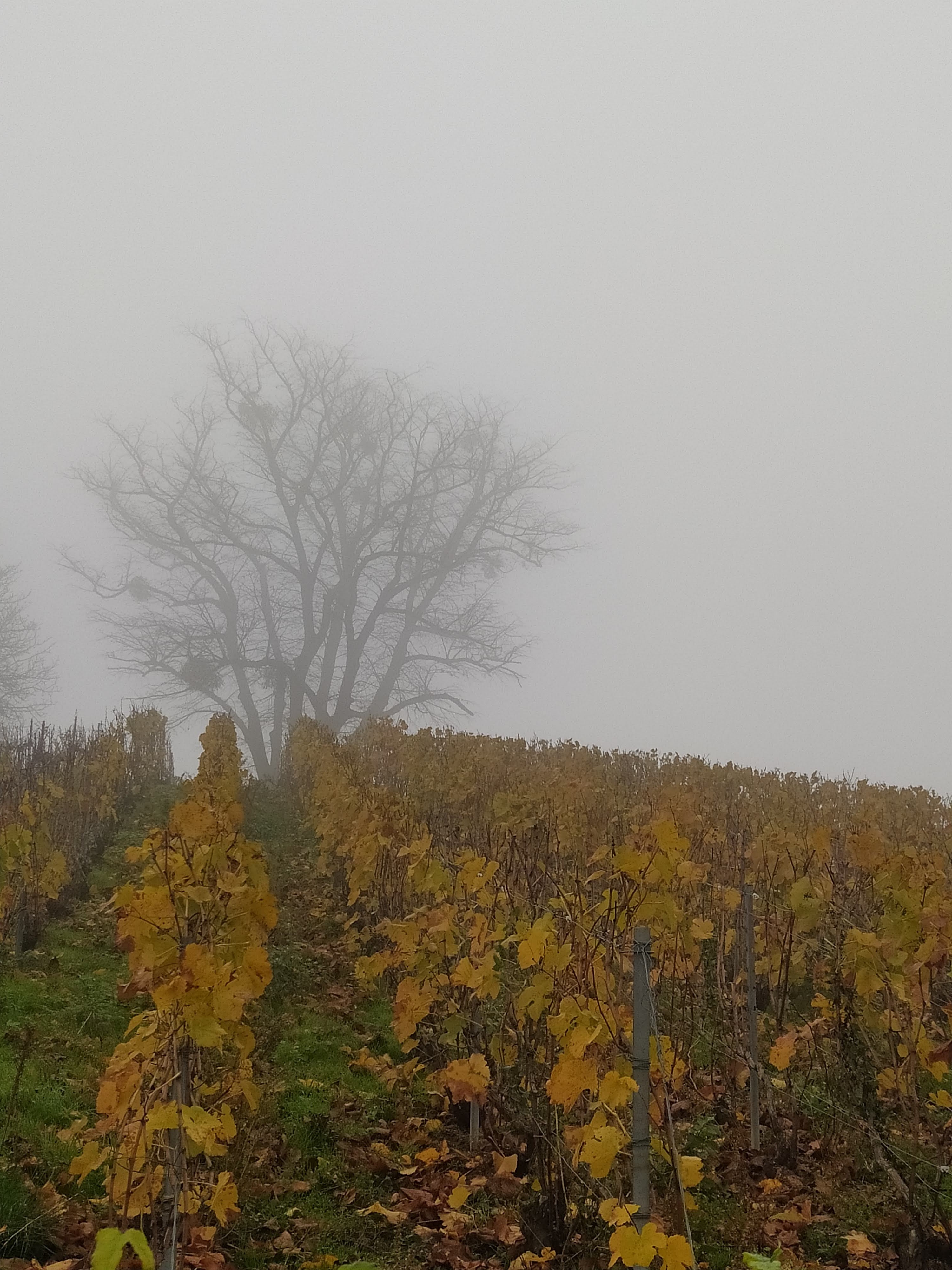 Photo n° 1 de l'avis de Aimee.a fait le 15/11/2022 à 12:32