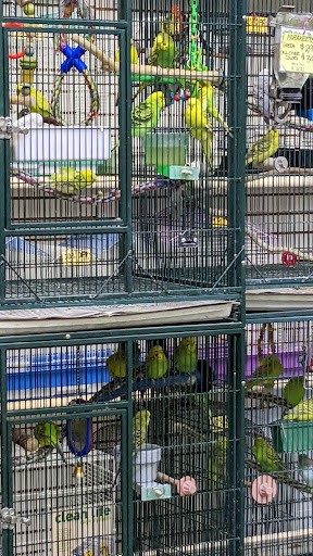 Pet Store «Discount Pet & Supplies», reviews and photos, 16320 Middlebelt Rd, Livonia, MI 48154, USA