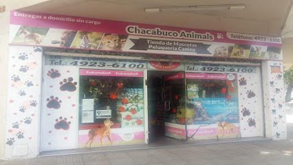 Chacabuco Animals