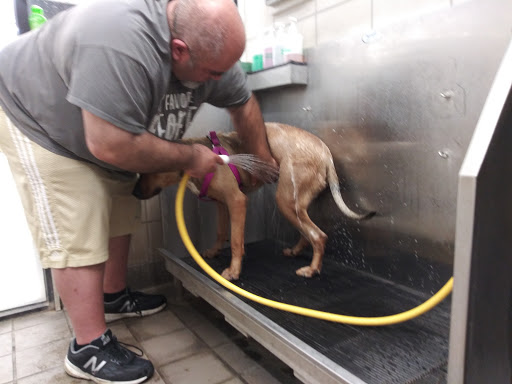 Pet Supply Store «Pet Supplies Plus», reviews and photos, 2202 S Bend Ave Suite 1, South Bend, IN 46635, USA