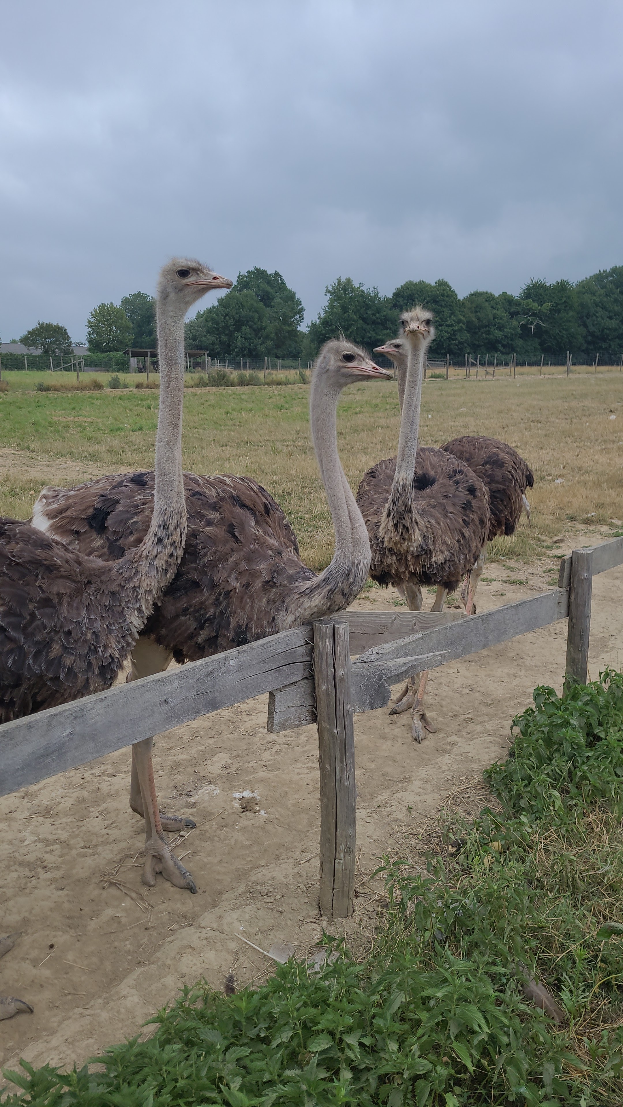 Photo n° 4 de l'avis de Nassima.o fait le 30/07/2022 à 21:47