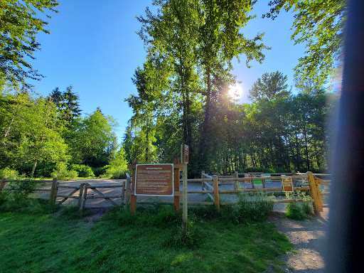 Park «Tambark Creek Park», reviews and photos, 17217 35th Ave SE, Bothell, WA 98012, USA