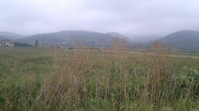 Opinii despre Dezmembrari auto în Viile Apei - Atelier de dezmembrări Auto