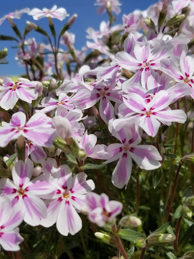 Pet Supply Store «Better Buys», reviews and photos, 3622 N Broadway Ave, Muncie, IN 47303, USA