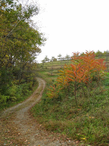 Orchard «Autumn Hills Orchard», reviews and photos, 495 Chicopee Row, Groton, MA 01450, USA