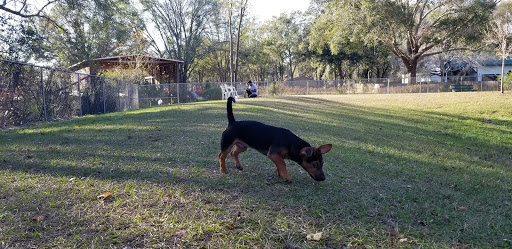 Park «Lutz Dog Park», reviews and photos, 122 1st Ave SW, Lutz, FL 33548, USA