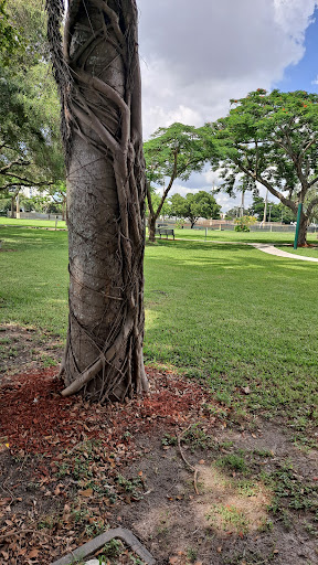 Park «Juan Pablo Duarte Park», reviews and photos, 2800 NW 17th Ave, Miami, FL 33142, USA