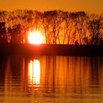 Photo n°1 de l'avis de Claudio.a fait le 25/11/2022 à 17:15 sur le  Bar H - Scardovari à Scardovari