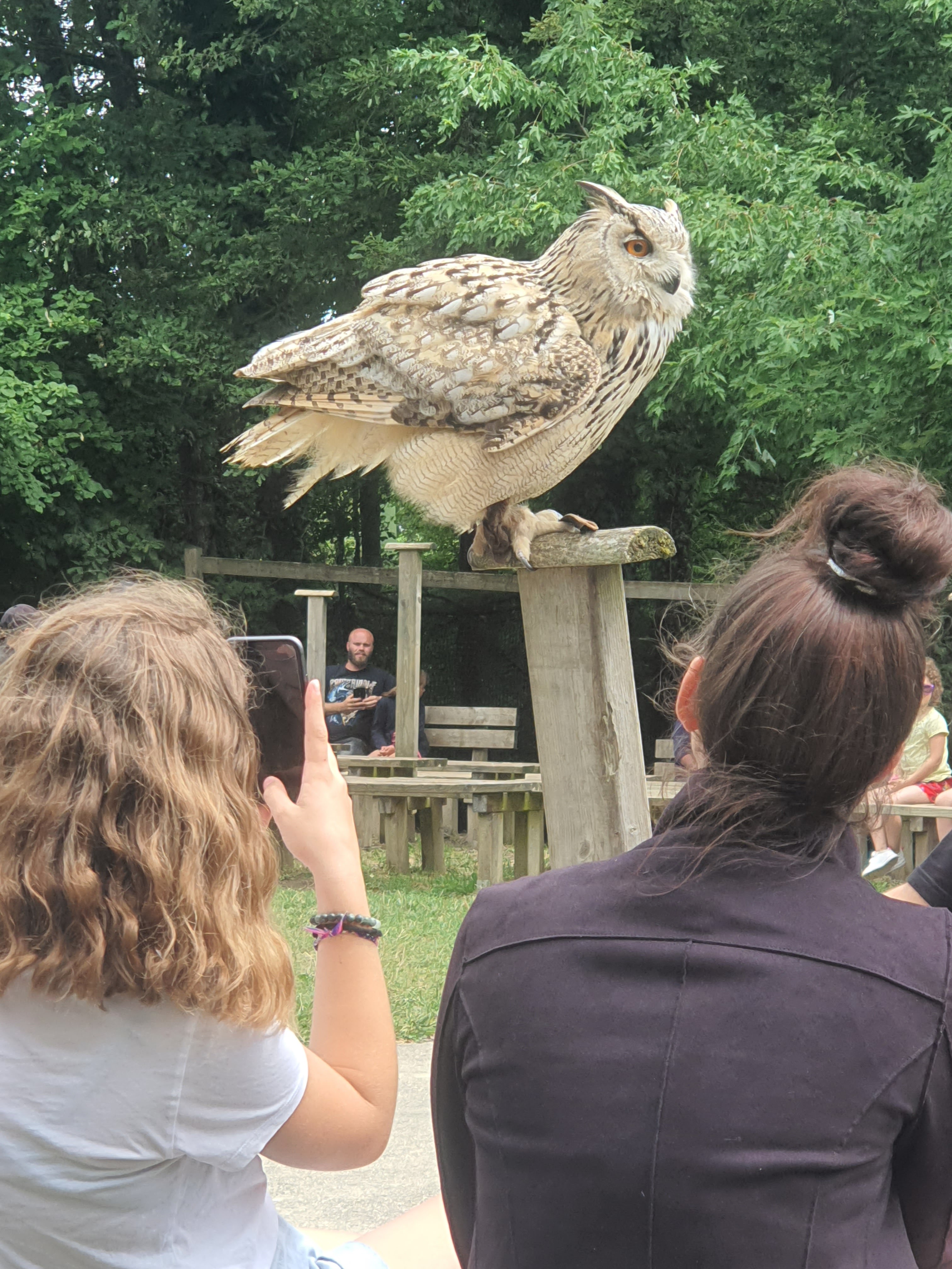 Photo n° 5 de l'avis de Mickael.e fait le 15/07/2023 à 13:18