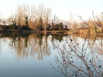 Lac de Buzet à Buzet-sur-Tarn