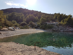 Robinson beach'in fotoğrafı çok temiz temizlik seviyesi ile
