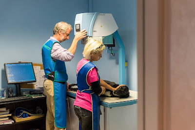 Clinique vétérinaire Anatimvet' (clinique indépendante du dr Bidault) à Limay