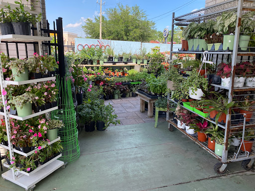 Hardware Store «Thompson Ace Hardware», reviews and photos, 9742 Old St Augustine Rd #114, Jacksonville, FL 32257, USA