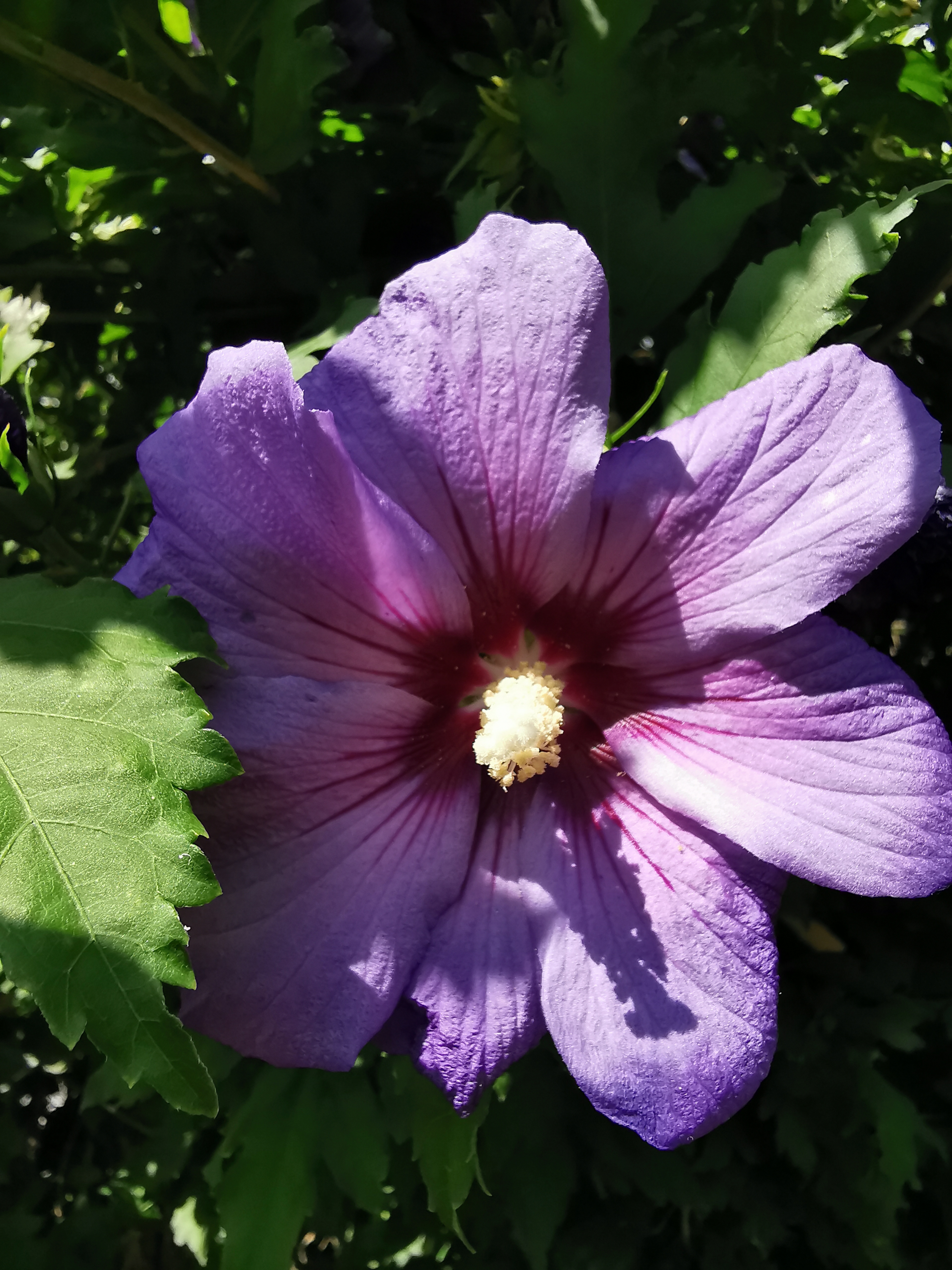 Photo n° 3 de l'avis de Francine.E fait le 27/08/2023 à 20:10