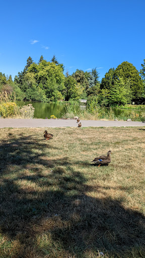 Park «Commonwealth Lake Park», reviews and photos, SW Butner Rd & SW Huntington Ave, Cedar Hills, OR 97225, USA