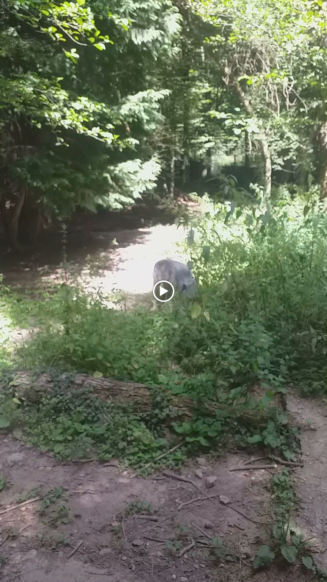 Photo n° 1 de l'avis de Bertr1Bis. fait le 17/08/2023 à 19:39