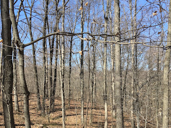 Fred & Dorothy Meyer Nature Preserve