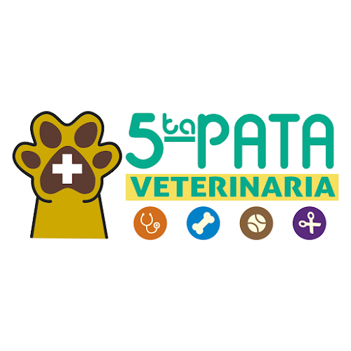 VETERINARIA 5TA PATA - Veterinario