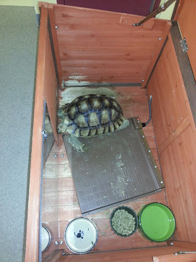 Pet Store «Petland Pensacola», reviews and photos, 6235 N Davis Hwy, Pensacola, FL 32504, USA