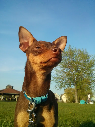 State Park «Constitution Beach», reviews and photos, 799 Bennington St, Boston, MA 02128, USA