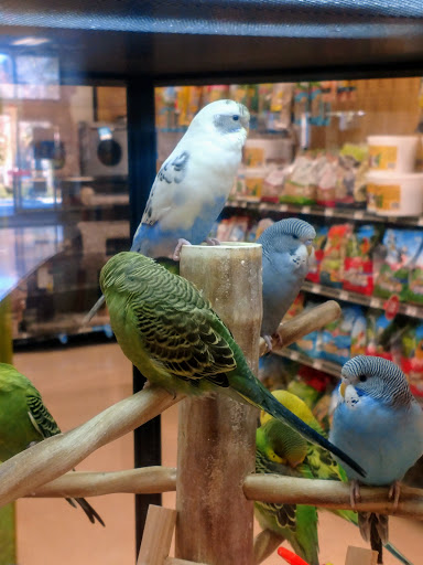 Pet Supply Store «Petco Animal Supplies», reviews and photos, 4475 SW 40th Ave, Ocala, FL 34474, USA