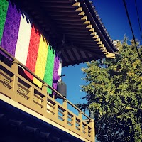 浄土真宗本願寺派（お西さん）九龍山信徳寺