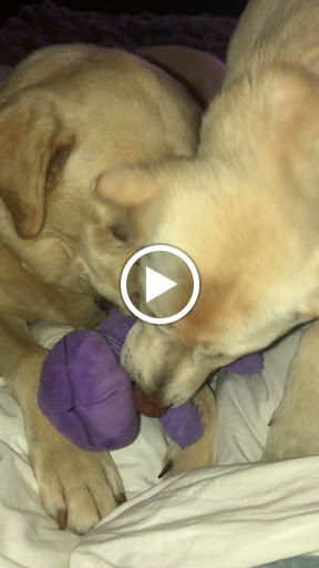 General Contractor «R&K TRADESMEN», reviews and photos, 21356 Nordhoff St #104, Chatsworth, CA 91311, USA