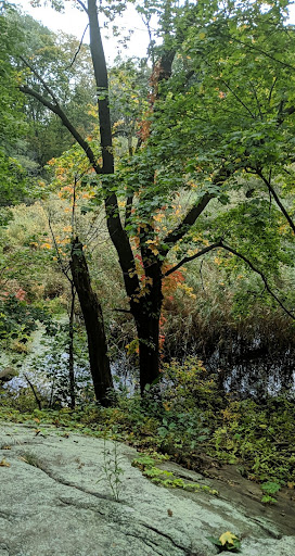 Nature Preserve «Steer Swamp Conservation Area», reviews and photos, 188 Washington St, Marblehead, MA 01945, USA