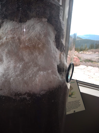 Nature Preserve «Mount Goliath Natural Area», reviews and photos, Mt Evans Rd, Evergreen, CO 80439, USA