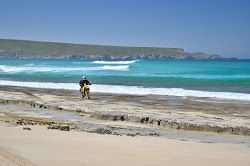 Foster Beach'in fotoğrafı vahşi alan