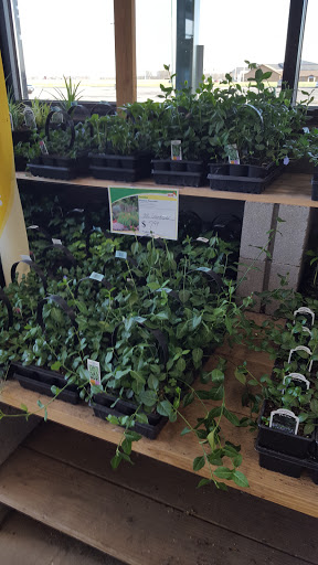 Home Improvement Store «Menards», reviews and photos, 2400 Marion-Mt Gilead Rd, Marion, OH 43302, USA