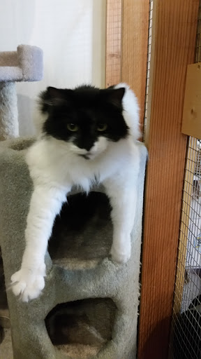 Pet Store «Next to Nature», reviews and photos, 4543 California Ave SW, Seattle, WA 98116, USA