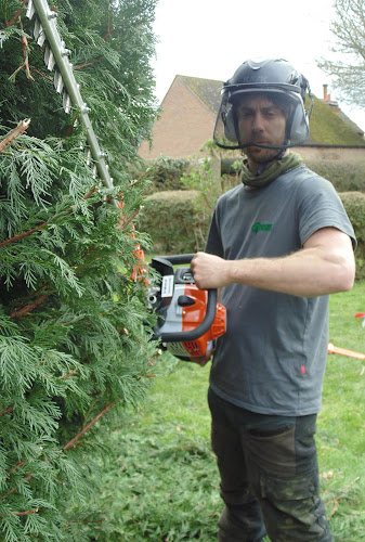 nenevalleytreeservices.com