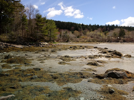 Outdoor Sports Store «Cadillac Mountain Sports», reviews and photos, 26 Cottage St, Bar Harbor, ME 04609, USA