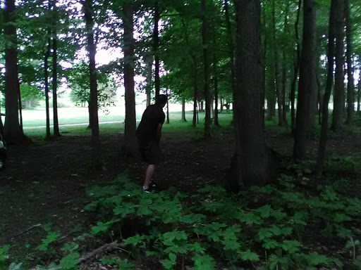 Public Golf Course «Briar Ridge Golf Course», reviews and photos, 11099 W Dodge Rd, Montrose, MI 48457, USA