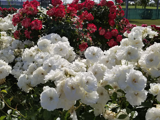 Emerald Glen Park image