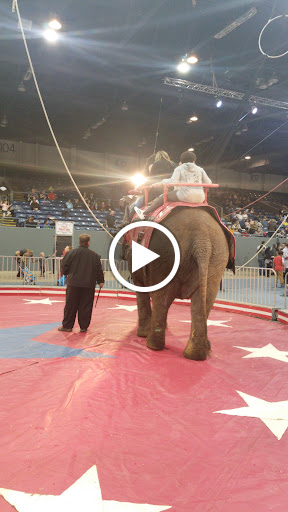 Stadium «Kellogg Arena», reviews and photos, 36 W Hamblin Ave, Battle Creek, MI 49017, USA