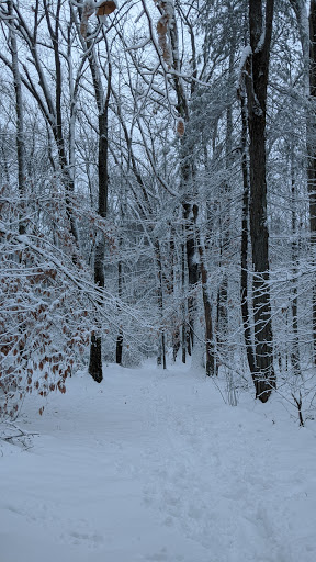 Park «Garfield Park», reviews and photos, Garfield St, Lexington, MA 02421, USA