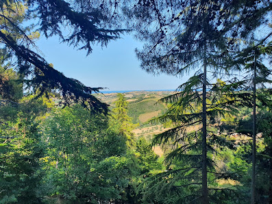 Pineta Comunale 64020 Bellante TE, Italia