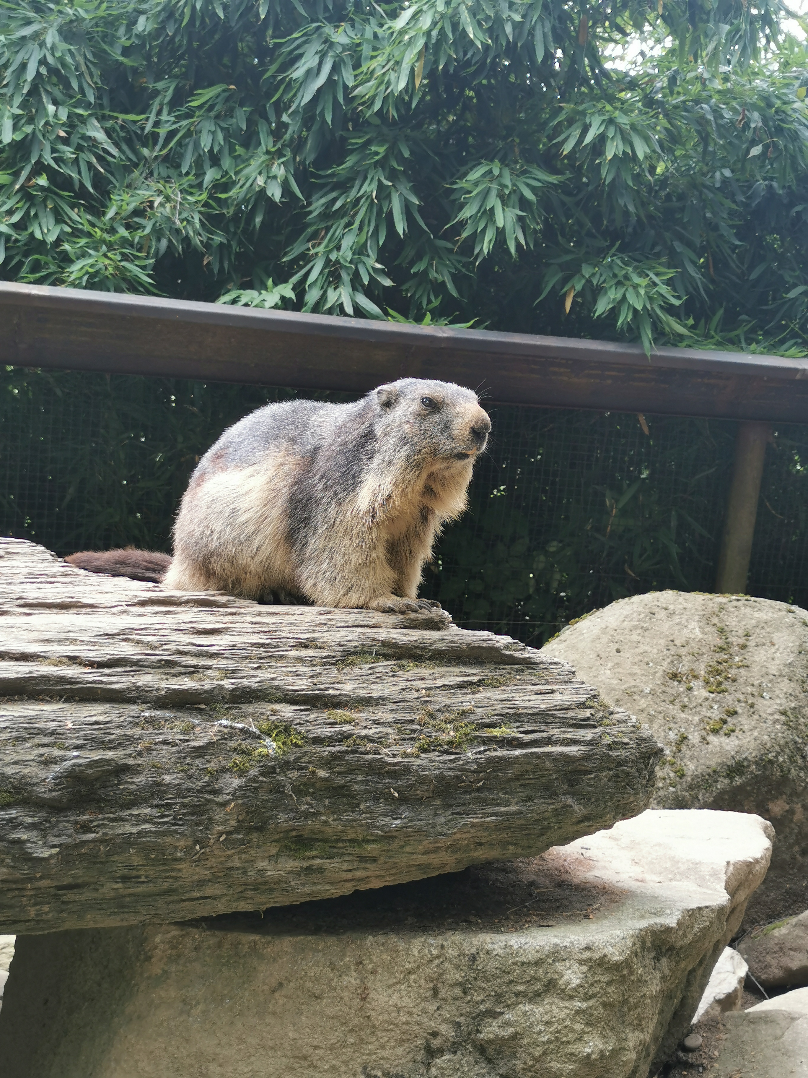 Photo n° 1 de l'avis de kevin.a fait le 06/08/2023 à 07:42