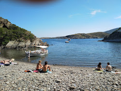 Photo de Platja Guillola avec un niveau de propreté de très propre