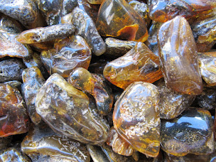 Photo n°14 de Alexandre Import Nature Monde à Gentilly ()