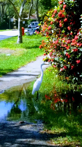 Public Golf Course «Hollywood Beach Golf Resort», reviews and photos, 1600 Johnson St, Hollywood, FL 33020, USA