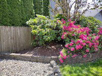 Harris lawn care - Photo 5 - Car repair in , Marysville