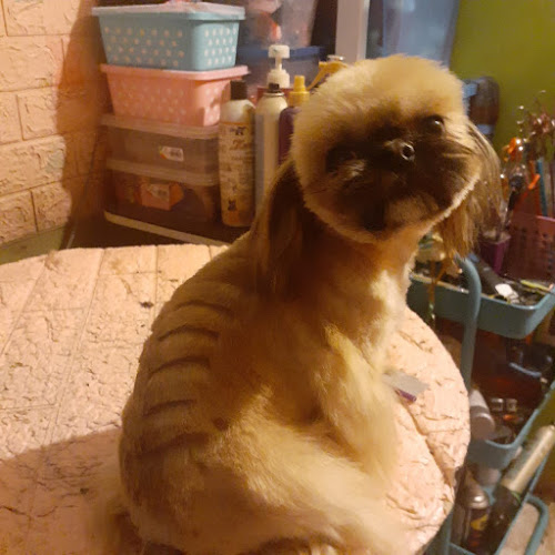J - Peluquería