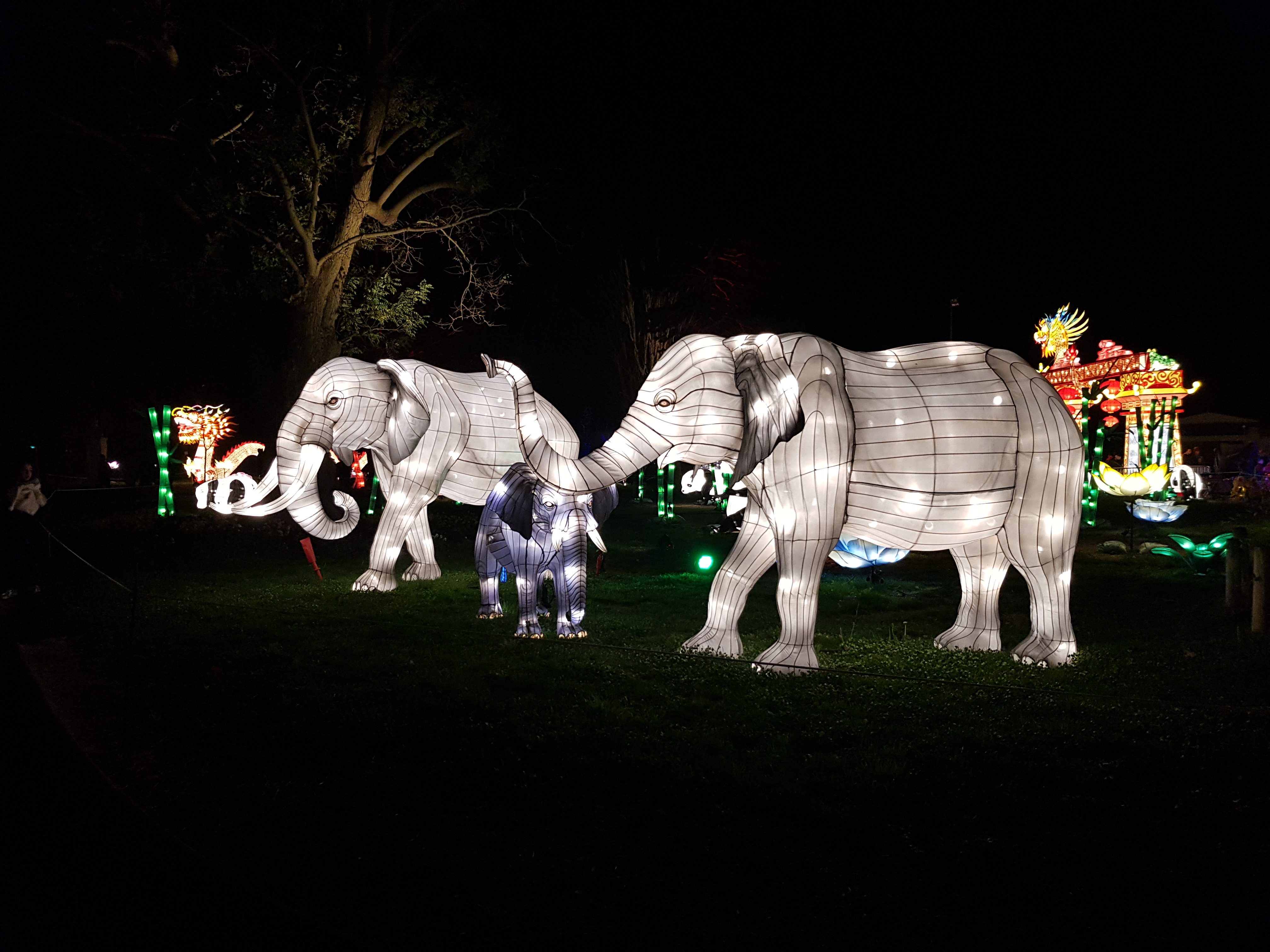 Photo n° 11 de l'avis de AlexBebop. fait le 30/12/2019 à 10:04