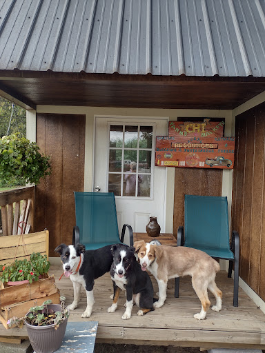 Community Helps Itself