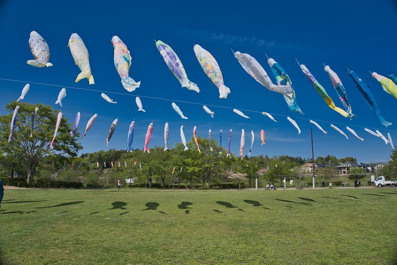 公津の杜公園 千葉県成田市公津の杜 公園 公園 グルコミ