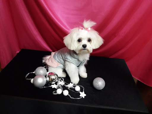 Clínica Veterinaria Marcel en L'Hospitalet de l'Infant