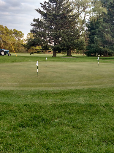 Golf Course «Willow Creek Golf Club», reviews and photos, 3252 Heeney Rd, Stockbridge, MI 49285, USA